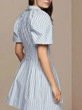 Striped Button Front Shirt Dress.