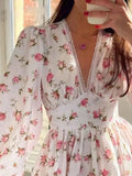 Floral Print Lace Detail V-Neck Mini Dress Plus Size.