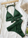 Tied Halter Neck Bikini Set - EBYNN
